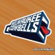 featured 905x590 20250131 AHL american hockey league milwaukee admirals cowbells more cowbell saturd 80x80